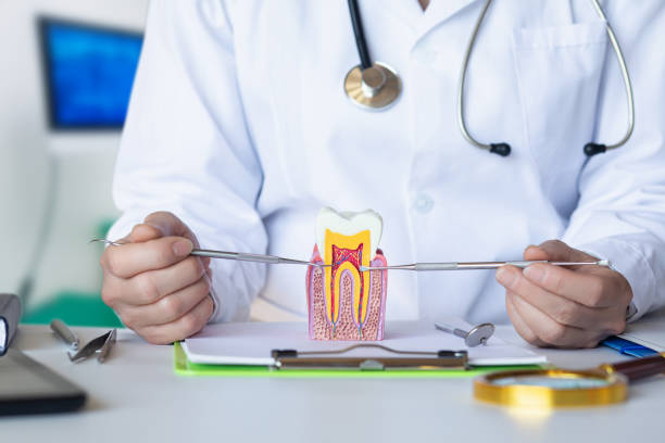 Best Same-Day Emergency Dentist in White Settlement, TX